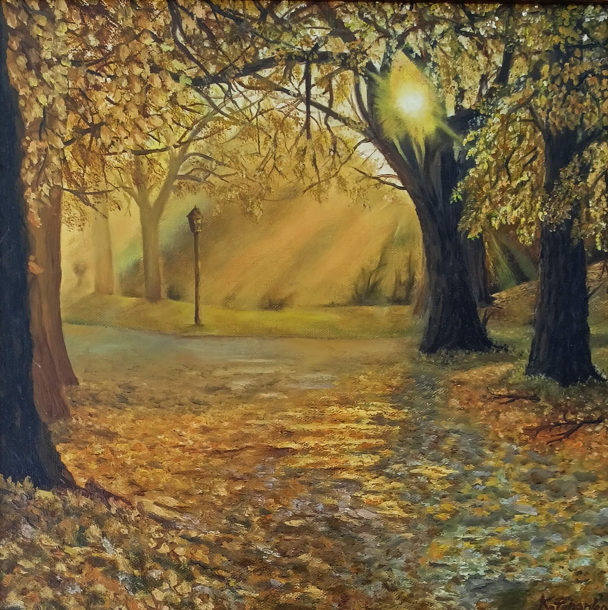 Odpolední světlohra (30x40)