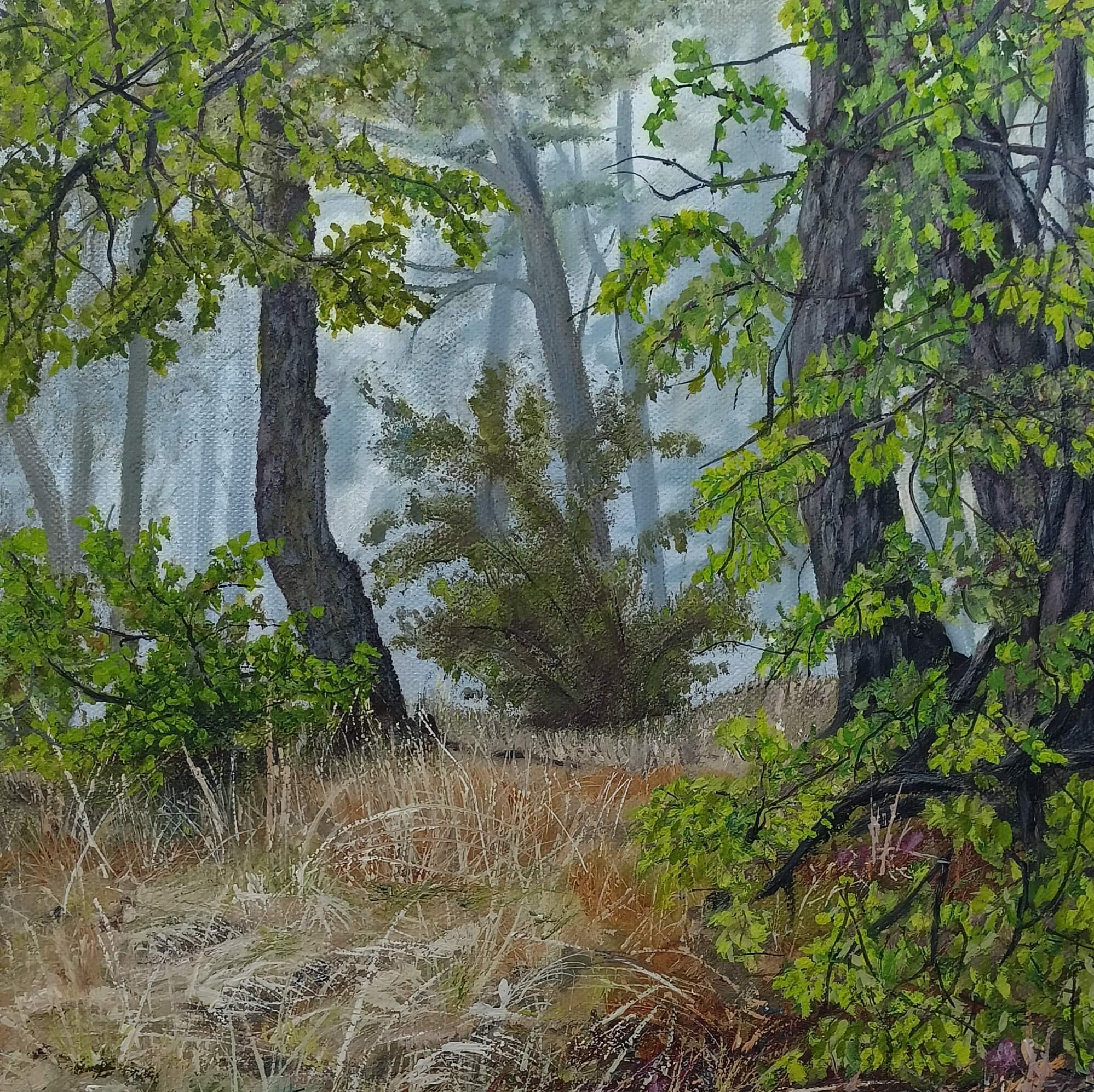 Lesní zákoutí (2016)